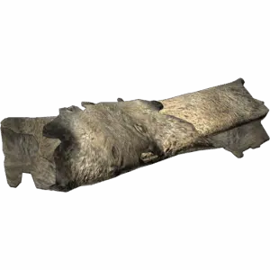 Boar Pelt