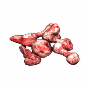 Bone