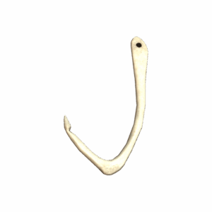 BoneHook