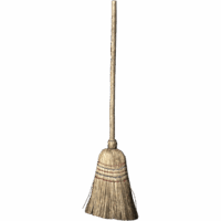 Birch Broom