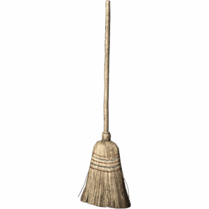 Broom Birch