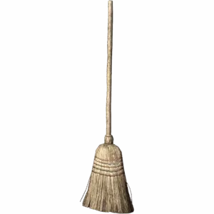 Broom Birch