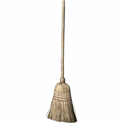 Birch Broom