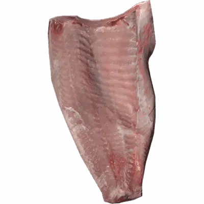 Carp Fillet