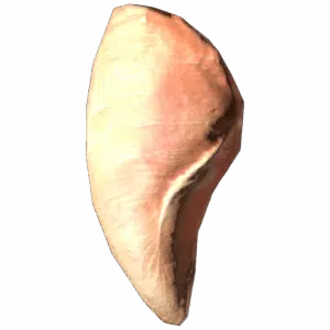 ChickenBreastMeat