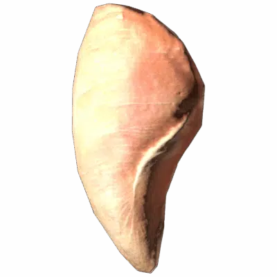 Chicken Steak