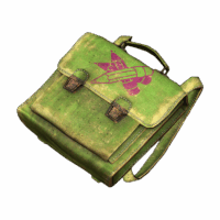 School Backpack