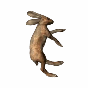 DeadRabbit