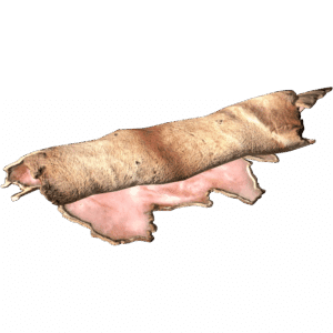 Deer Pelt
