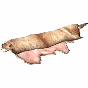 Deer Pelt