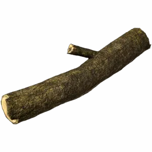 Firewood