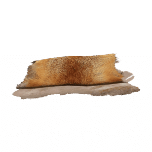 Fox Pelt