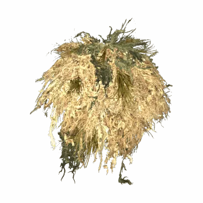 Ghillie Shrug