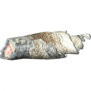 Hare Pelt
