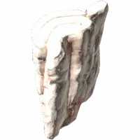 Fat