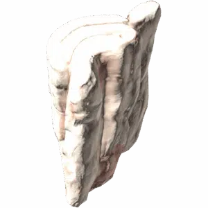 Lard