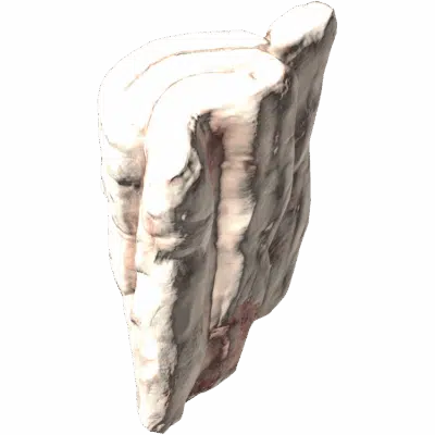 Fat