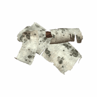 Light Bark