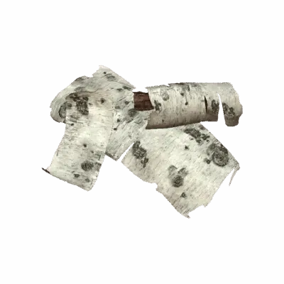 Light Bark