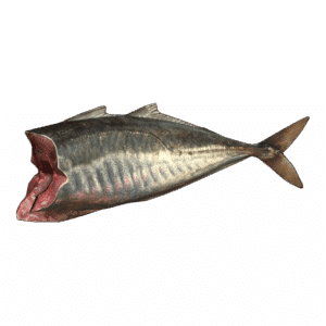 MackerelFilletMeat