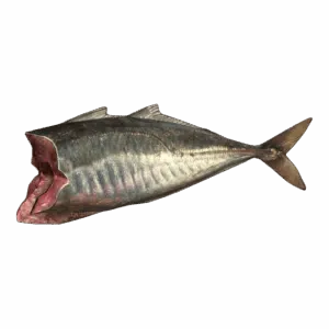 MackerelFilletMeat
