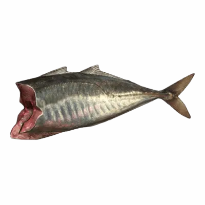 Mackerel Fillet