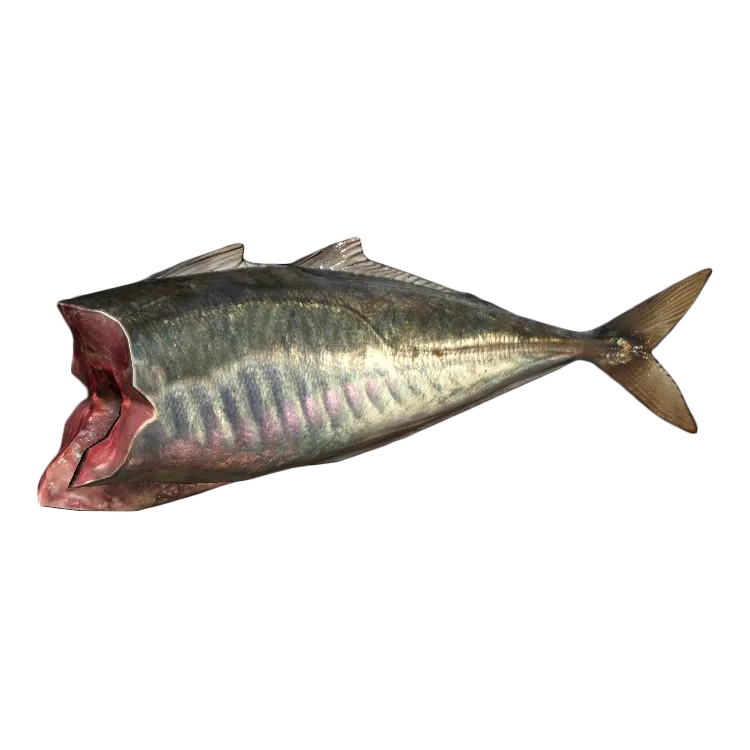 MackerelFilletMeat