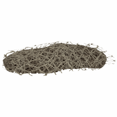 Netting