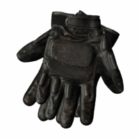 Combat Gloves
