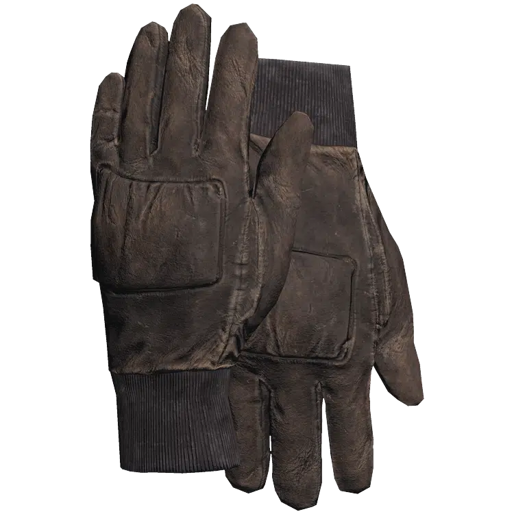 Padded Gloves