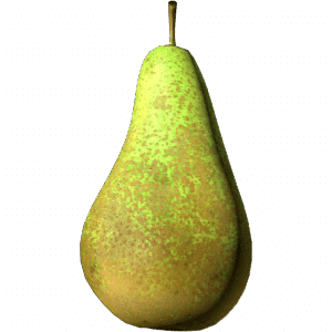 Pear