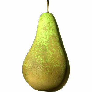 Pear