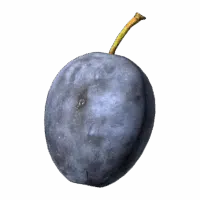 Plum