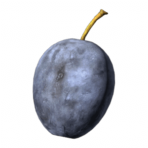 Plum