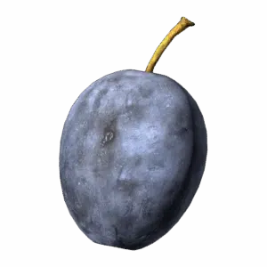 Plum