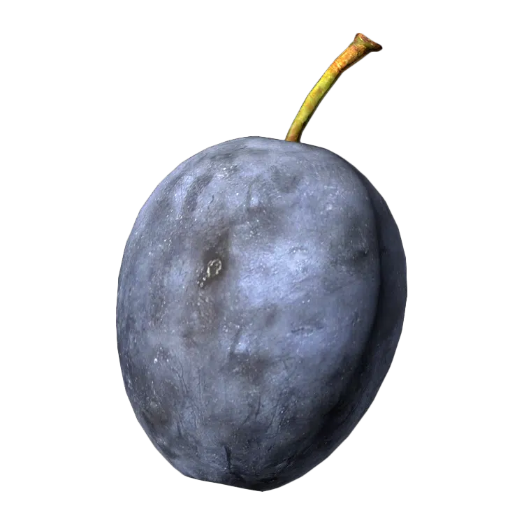 Plum