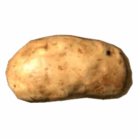 Potato