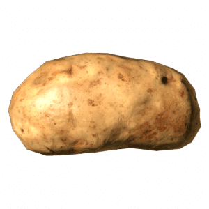 Potato