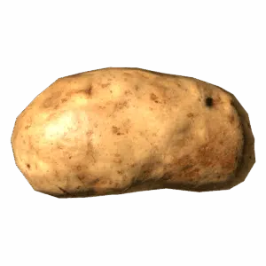 Potato