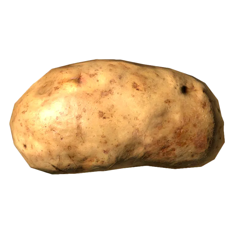 Potato