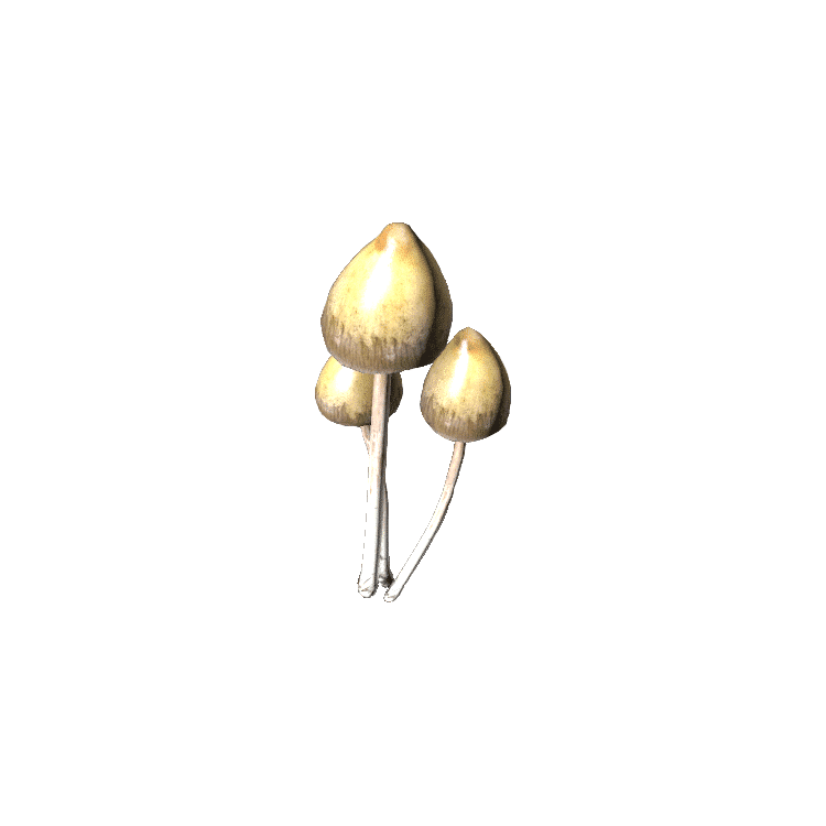 Liberty Cap