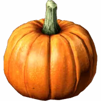 Pumpkin