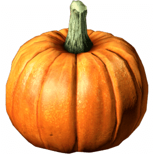 Pumpkin