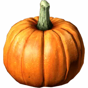Pumpkin