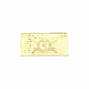 PunchedCard