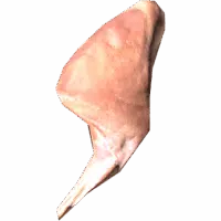 Hare Leg