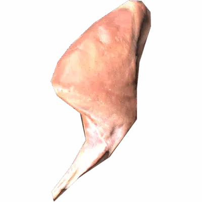 Hare Leg