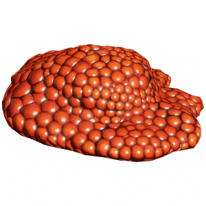 RedCaviar