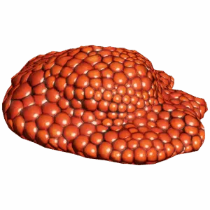 RedCaviar