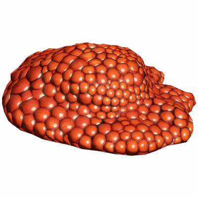 Red Caviar